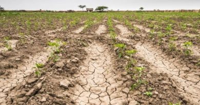 El Gobierno nacional les brindará ayuda a los productores afectados por la sequía