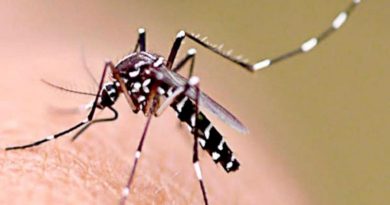 La Provincia y los Municipios se reunieron para combatir la invasión de mosquitos