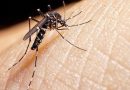 Otra de mosquitos: hay 51 casos confirmados de chikungunya en la provincia