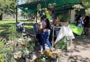 Se realizará un nuevo “Encuentro Verde” este miércoles